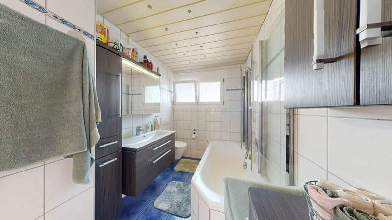 8 Zimmer Einfamilienhaus mit Einliegerwohnung (14)