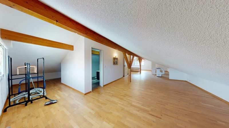 8 Zimmer Einfamilienhaus mit Einliegerwohnung (18)