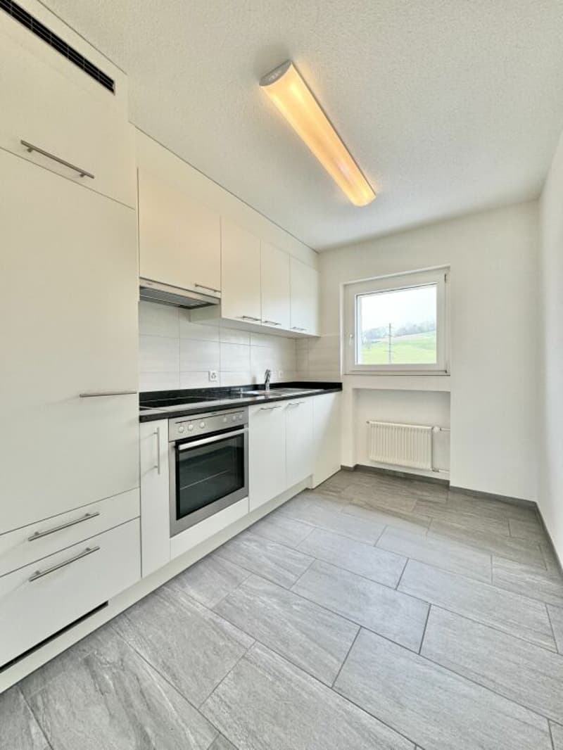 Frick / Appartement 3,5 pièces n° 8 (2)
