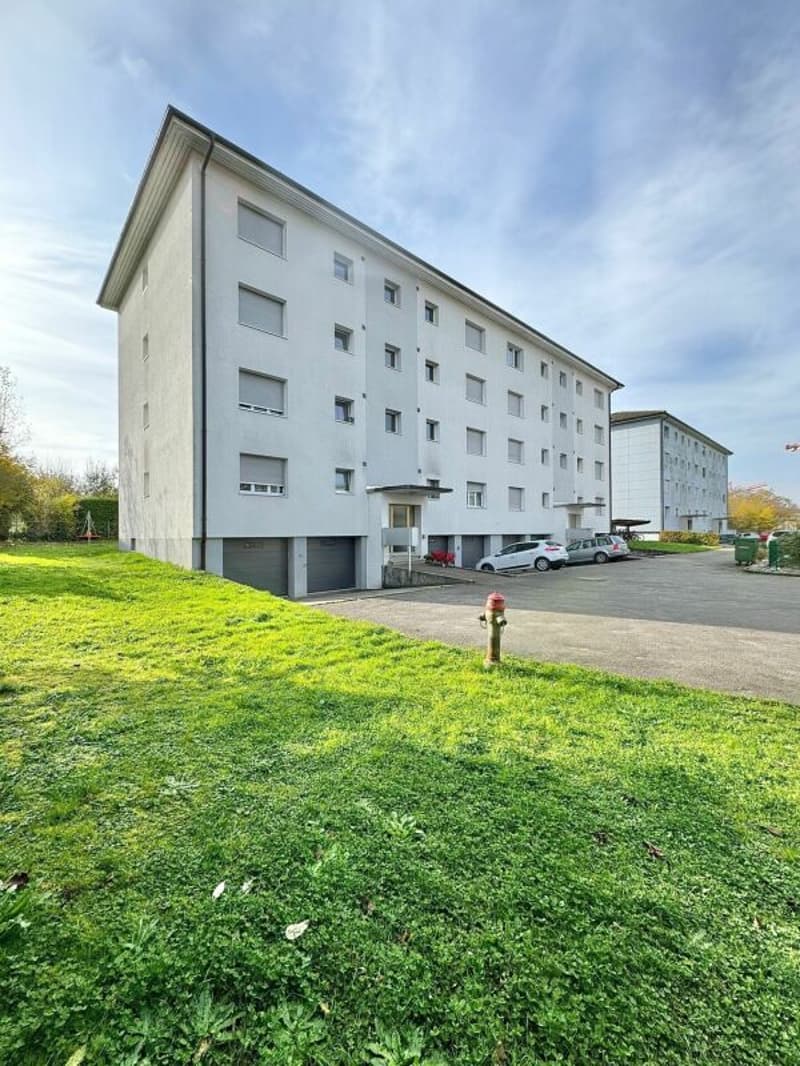 Frick / Appartement 3,5 pièces n° 8 (12)