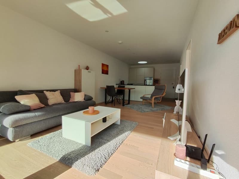 Gränichen / Appartamento 2,5 locali B.1.2 (3)