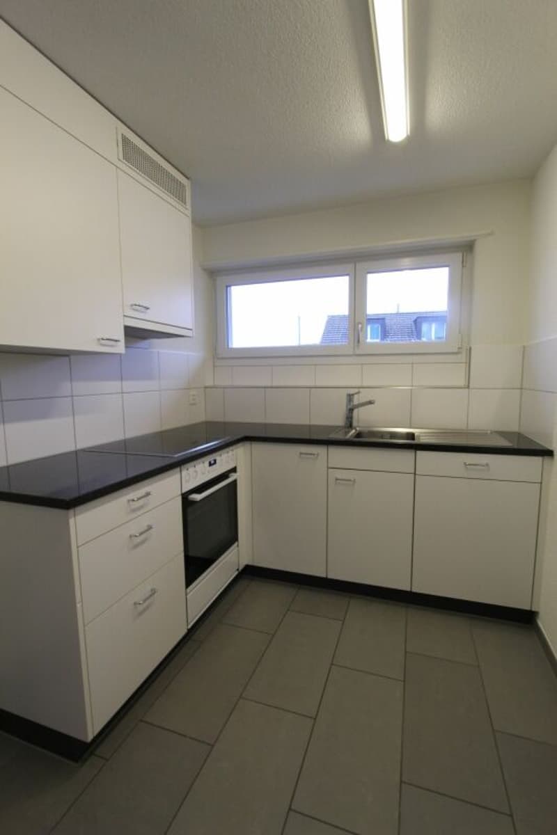 Aarau / 3 Room Apartment 3rd Floor Left (2)
