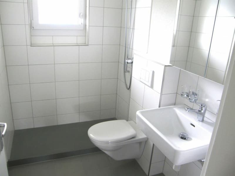 Aarau / 3 Room Apartment 3rd Floor Left (6)
