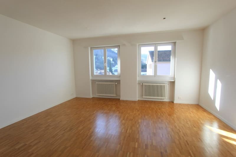 Aarau / 3 Room Apartment 3rd Floor Left (5)