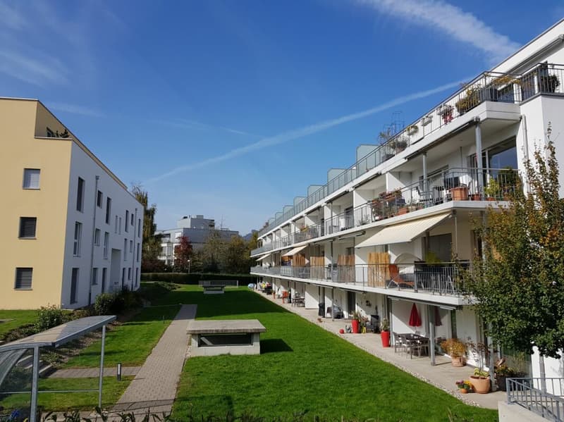 VIVERE CON TERRAZZA SUL TETTO SOLEGGIATA (1)