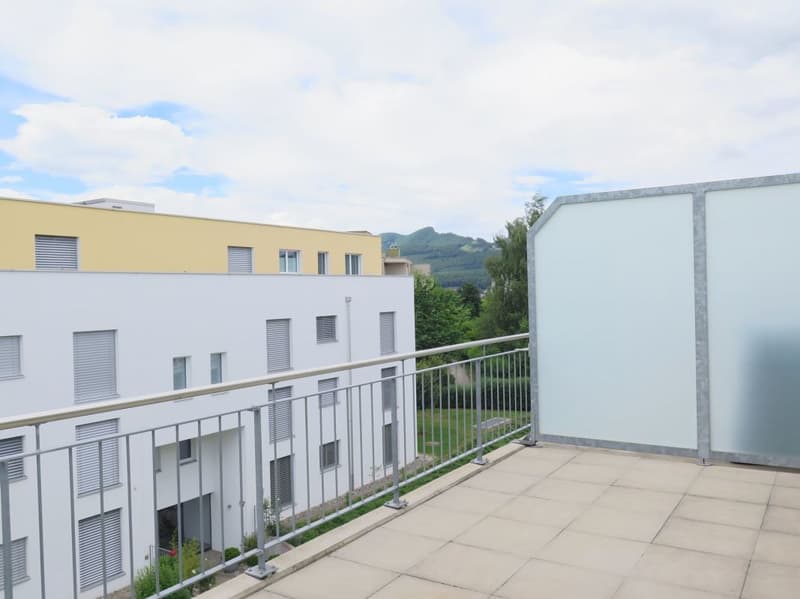 VIVERE CON TERRAZZA SUL TETTO SOLEGGIATA (7)