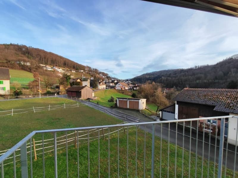 Etzgen / 4.5 Room Apartment B 2.3 (12)