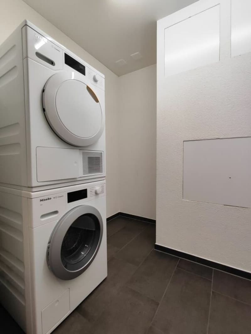 Etzgen / 4.5 Room Apartment B 2.3 (11)
