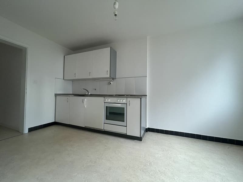 Frenkendorf / 3 pièces appartement au rez-de-chaussée (3)