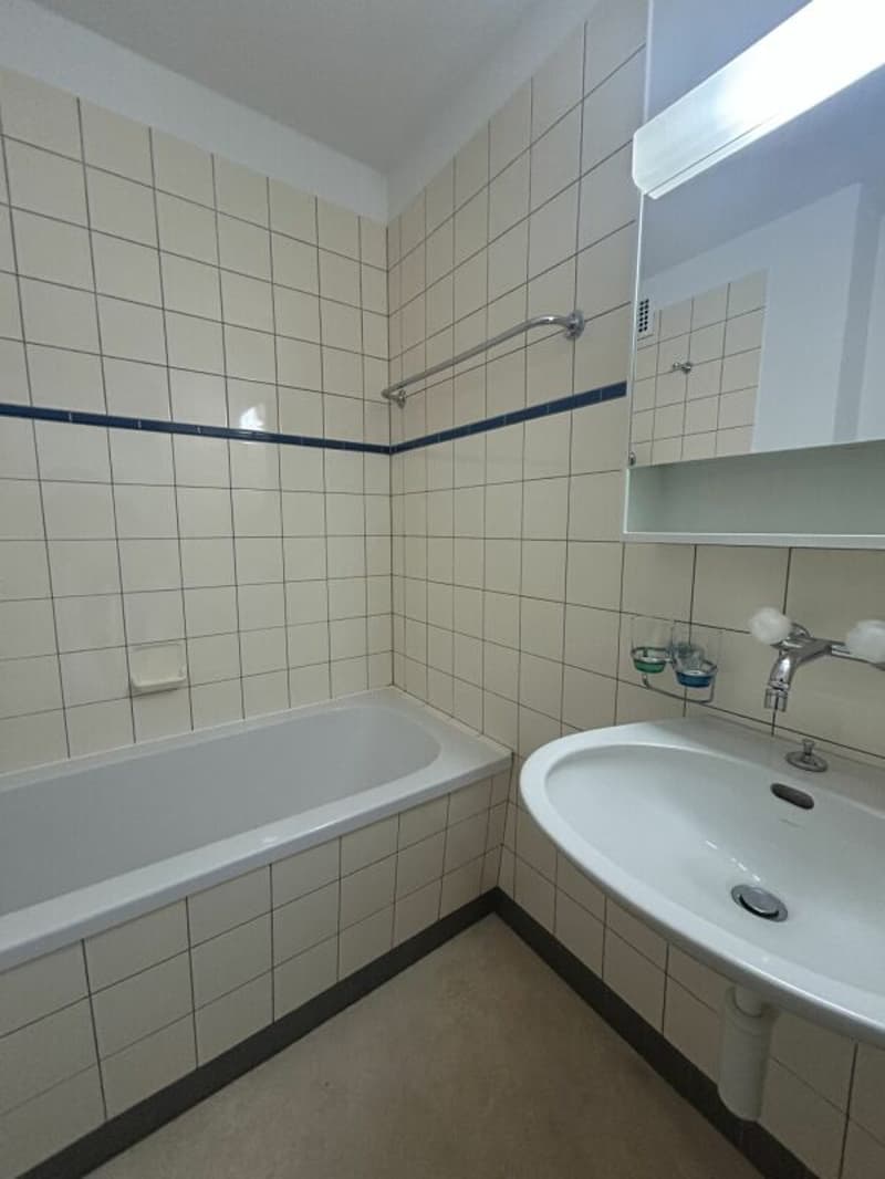 Frenkendorf / 3 pièces appartement au rez-de-chaussée (6)