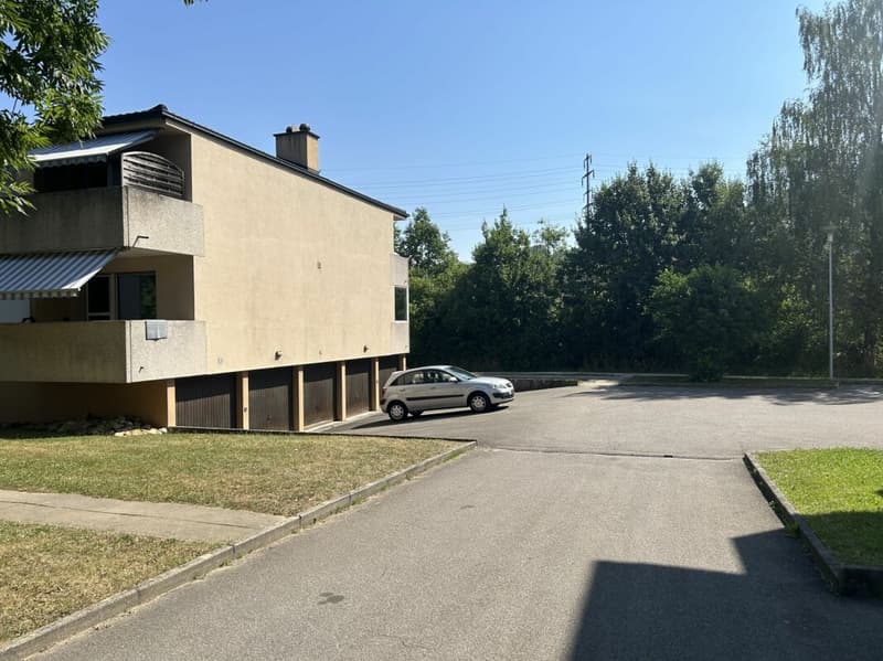 Frick / Garage box with forecourt (4)