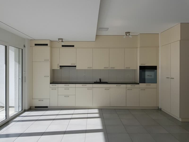 MERAVIGLIOSA POSIZIONE RESIDENZIALE A OLTEN (4)