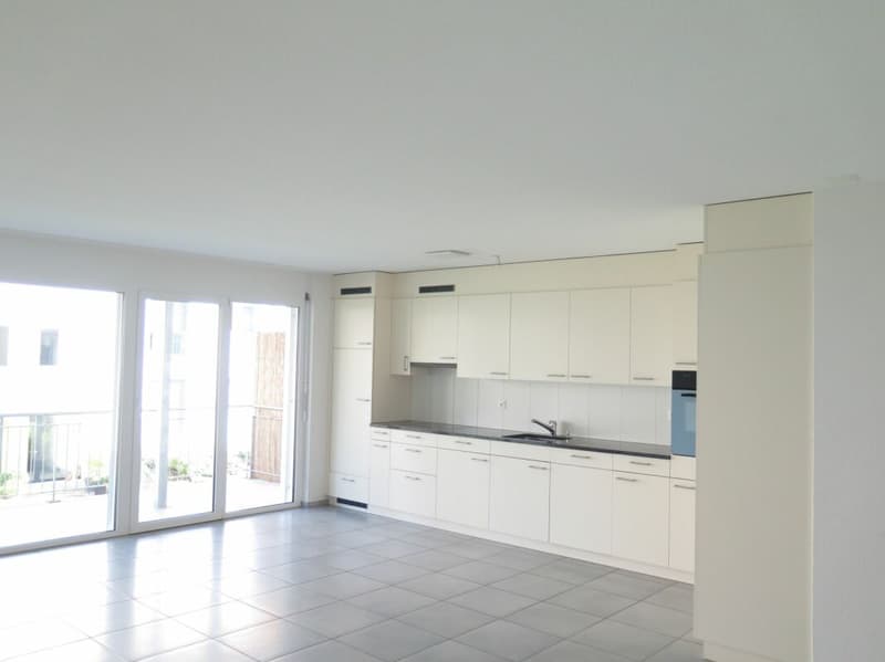 MERAVIGLIOSA POSIZIONE RESIDENZIALE A OLTEN (3)