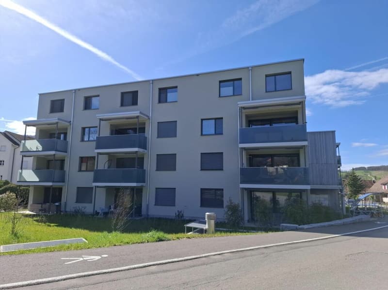 DAS NEUE ZUHAUSE FÜR SIE UND IHRE FAMILIE IN HERZNACH (2)