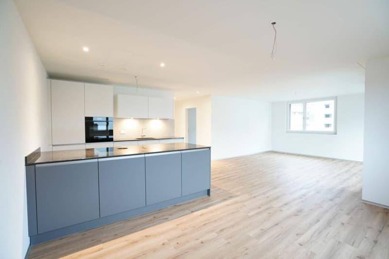 Herznach / 3.5 Zimmer-Wohnung A-2.1 (2)