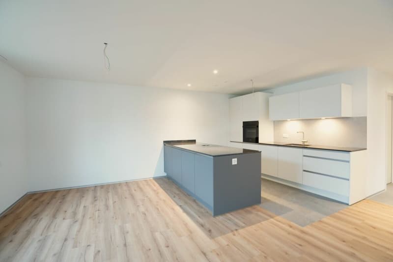 Herznach / 3.5 Zimmer-Wohnung A-2.1 (3)