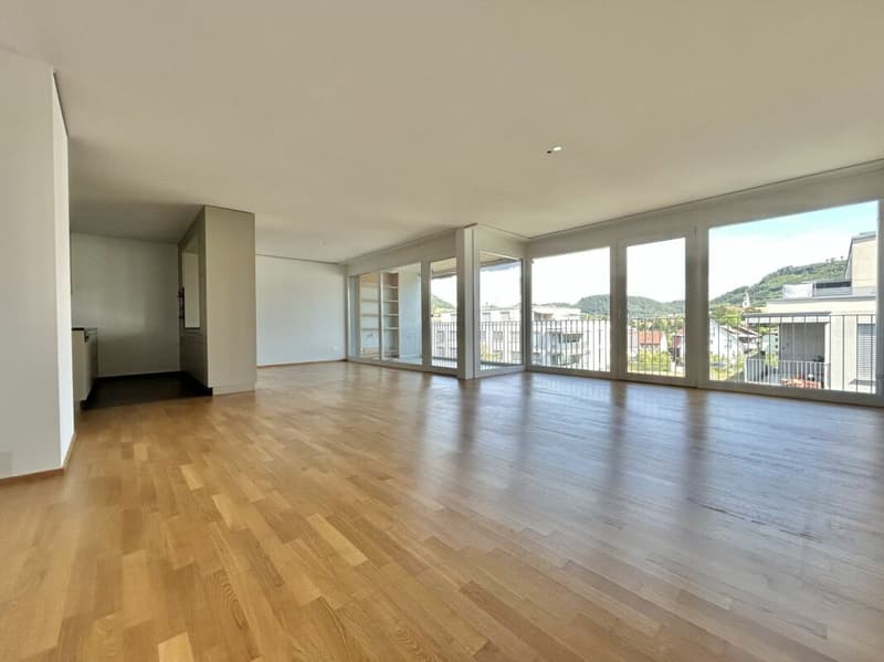 Frick / 4.5 Zimmer-Wohnung (3)