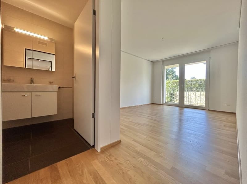 Frick / 4.5 Zimmer-Wohnung (10)