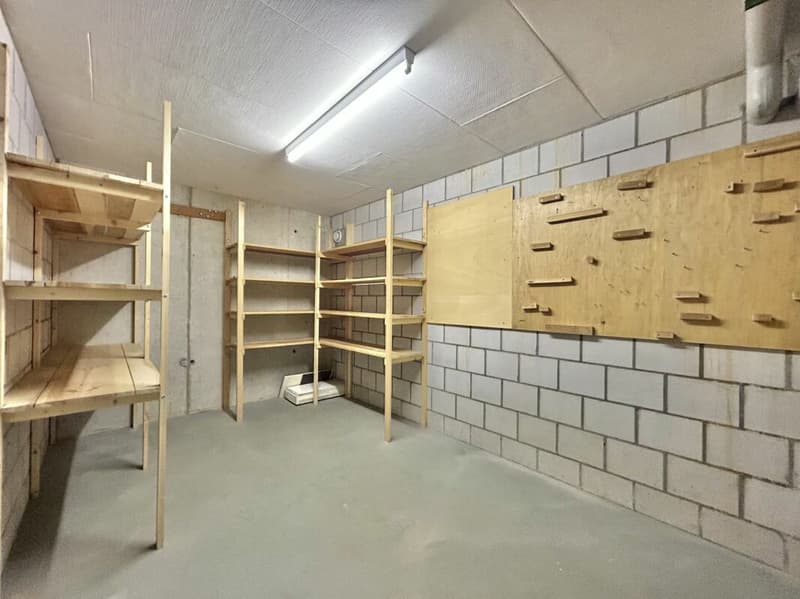 Frick / 4.5 Zimmer-Wohnung (14)