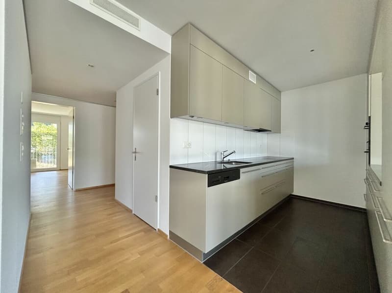 Frick / 4.5 Zimmer-Wohnung (17)