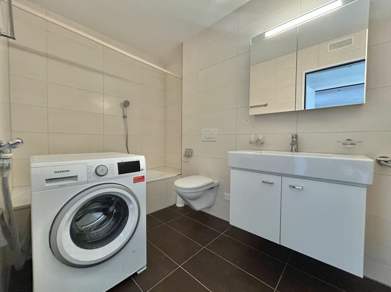 Frick / 4.5 Zimmer-Wohnung (19)