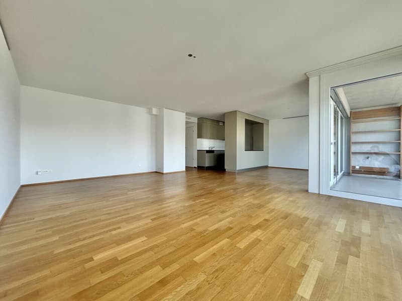 Frick / 4.5 Zimmer-Wohnung (2)