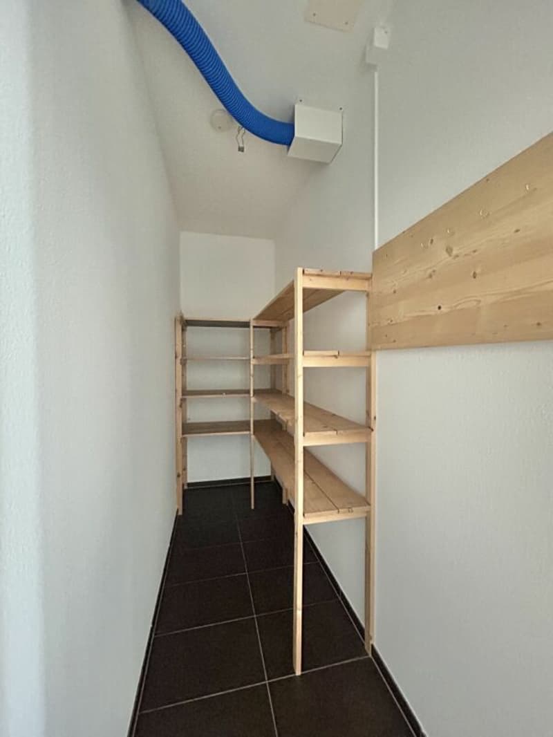 Frick / 4.5 Zimmer-Wohnung (13)