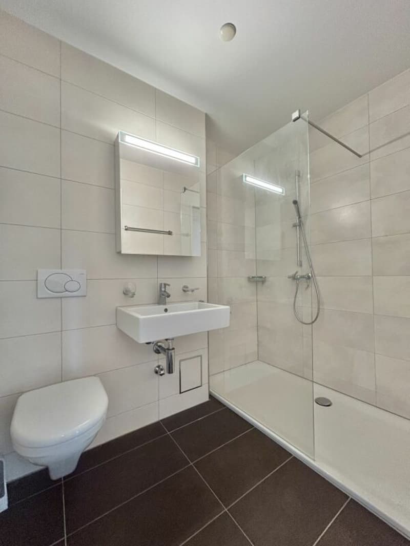 Frick / 4.5 Zimmer-Wohnung (12)