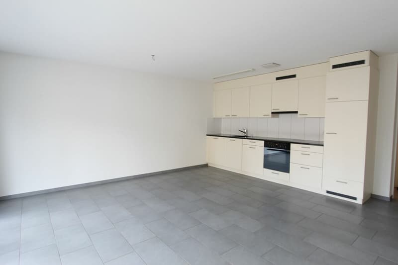 Zeihen / 2.5 Room Apartment A 1.2 (2)