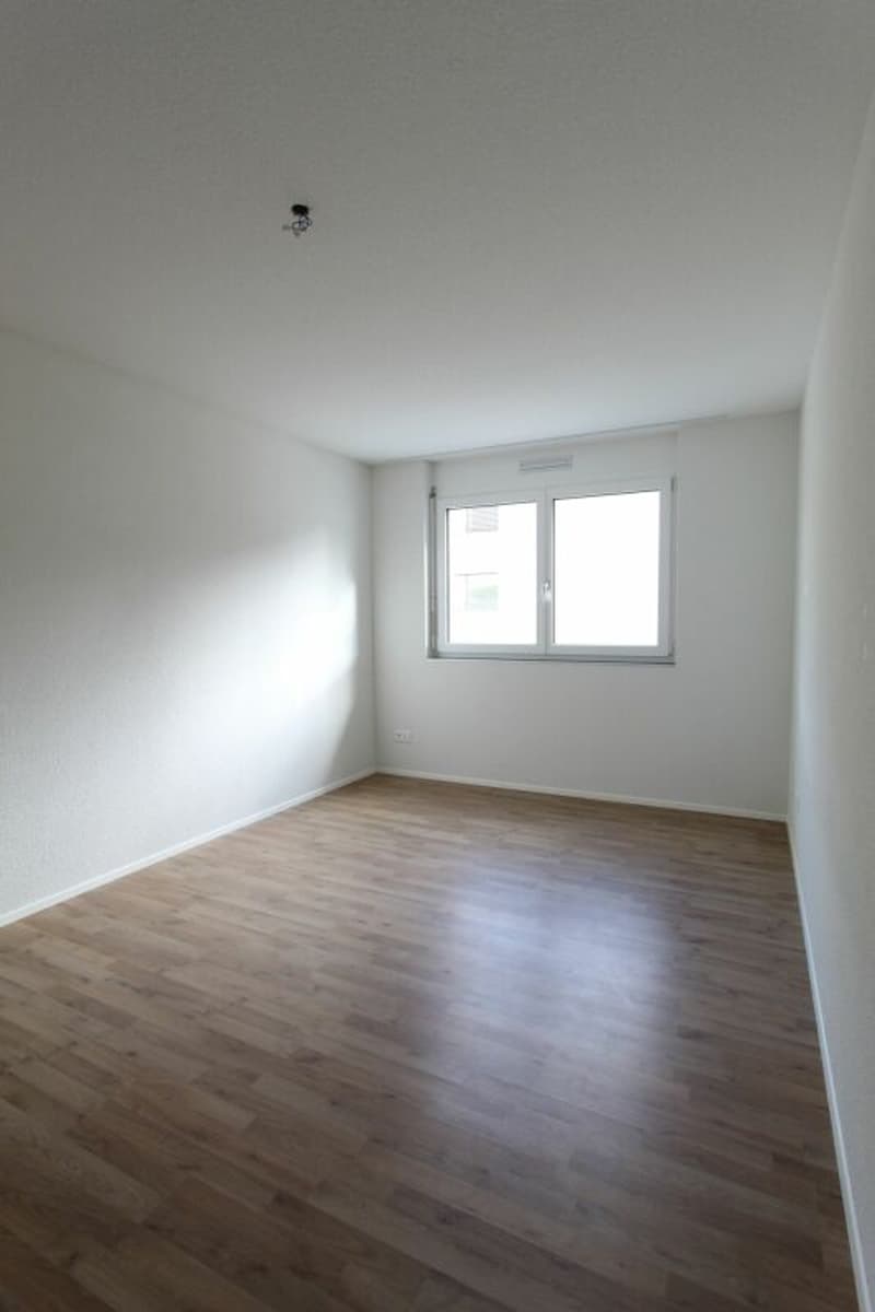 Zeihen / 2.5 Room Apartment A 1.2 (3)