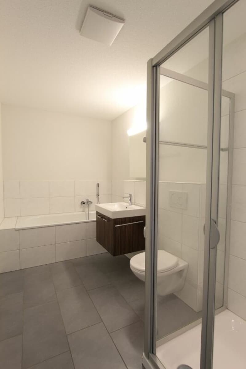 Zeihen / 2.5 Room Apartment A 1.2 (4)