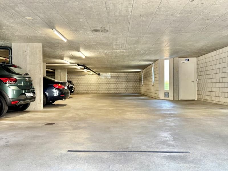 3 1/2 room maisonette apartment (14)