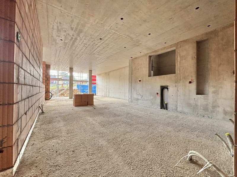 Appartement de 4,5 pièces au rez-de-chaussée à occuper pour la première fois (3)
