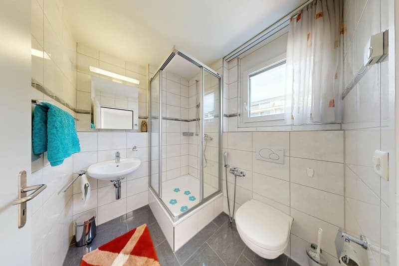 6.5 Room Corner House in Schlieren (24)