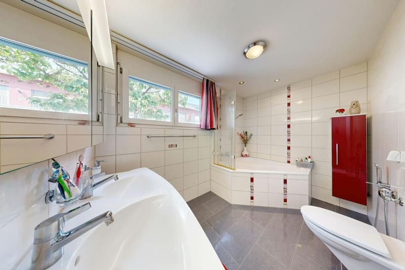 6.5 Room Corner House in Schlieren (19)