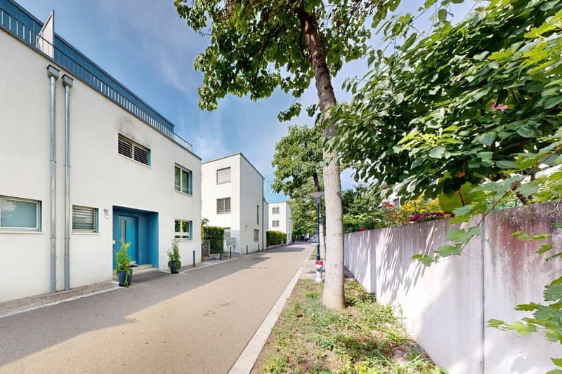 6.5 Room Corner House in Schlieren (3)