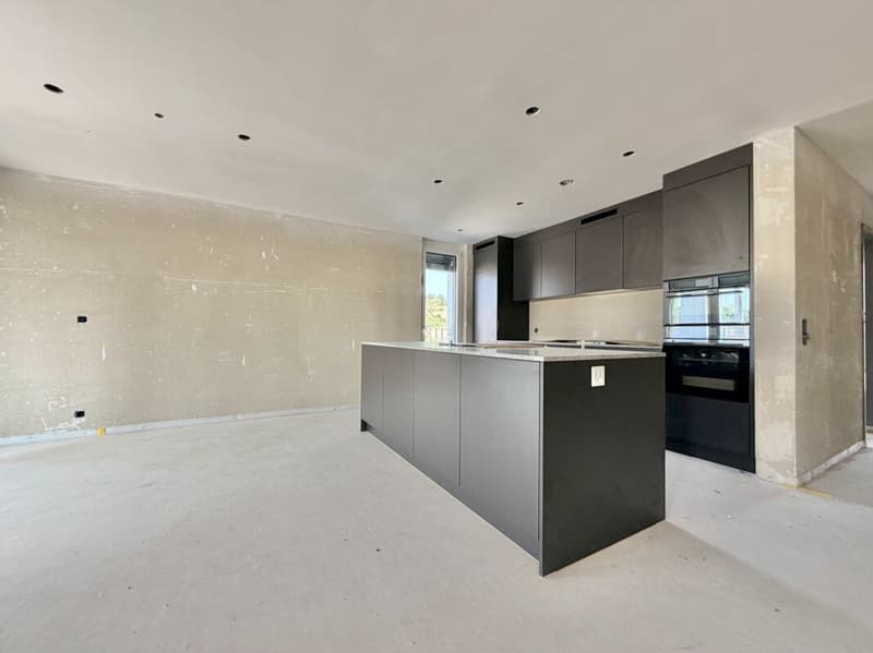 Frick / Appartement 3.5 pièces B2.21 (5)