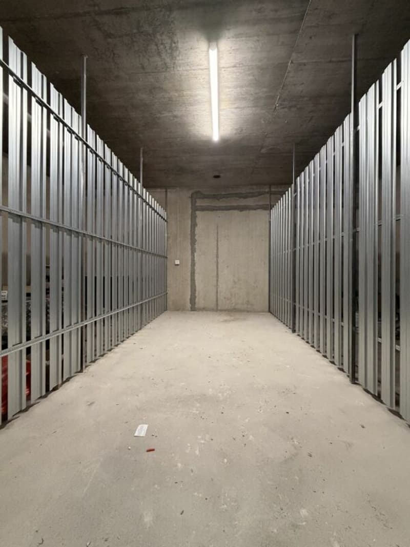 Frick / Appartement 3.5 pièces B2.21 (19)