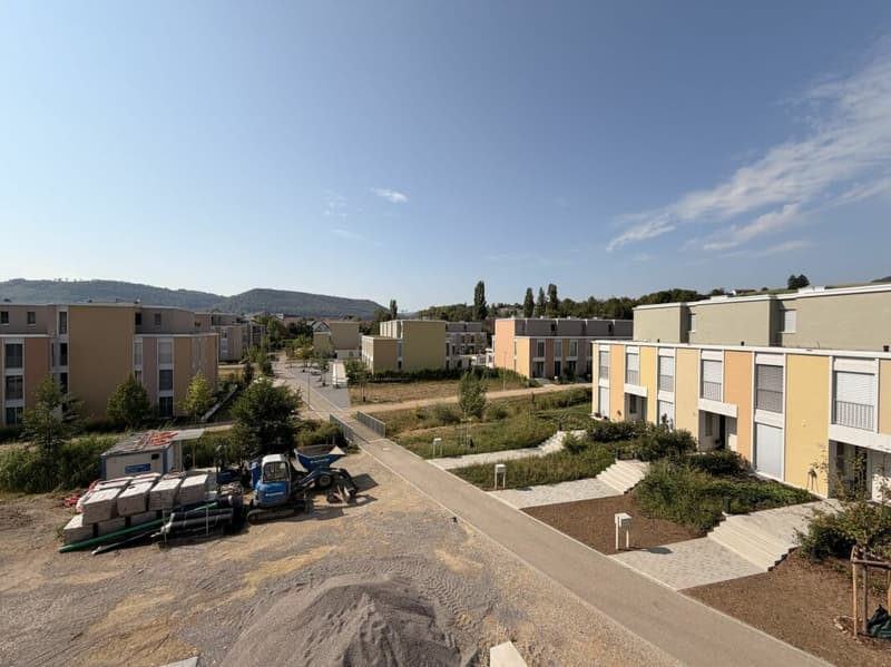 Frick / Appartement 3.5 pièces B2.21 (21)
