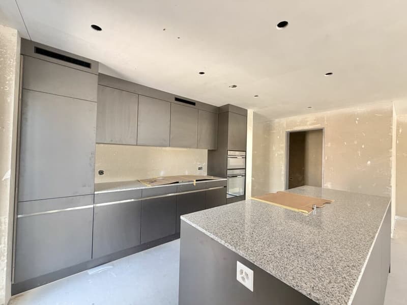 Frick / Appartement 3.5 pièces B2.21 (6)