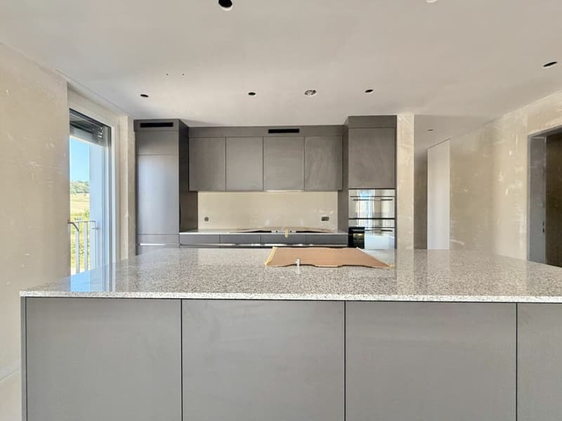 Frick / Appartement 3.5 pièces B2.21 (7)