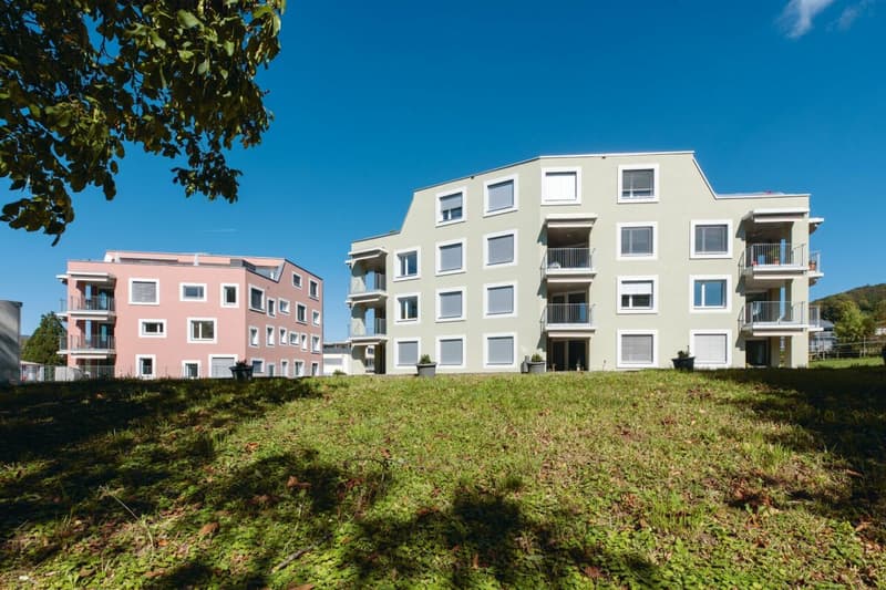 Etzgen / 3.5 Zimmer Wohnung B 1.2 (12)