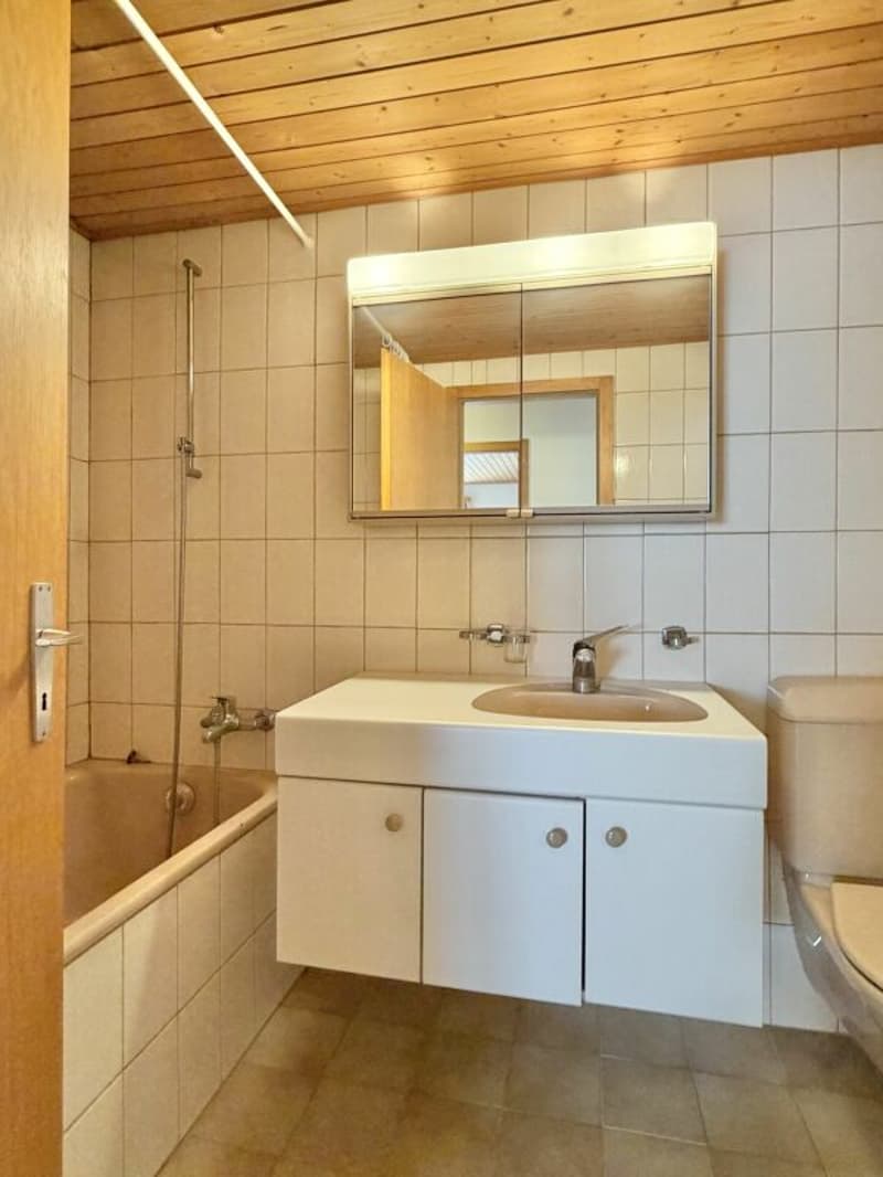 Bauernhaus Renovationsobjekt (20)