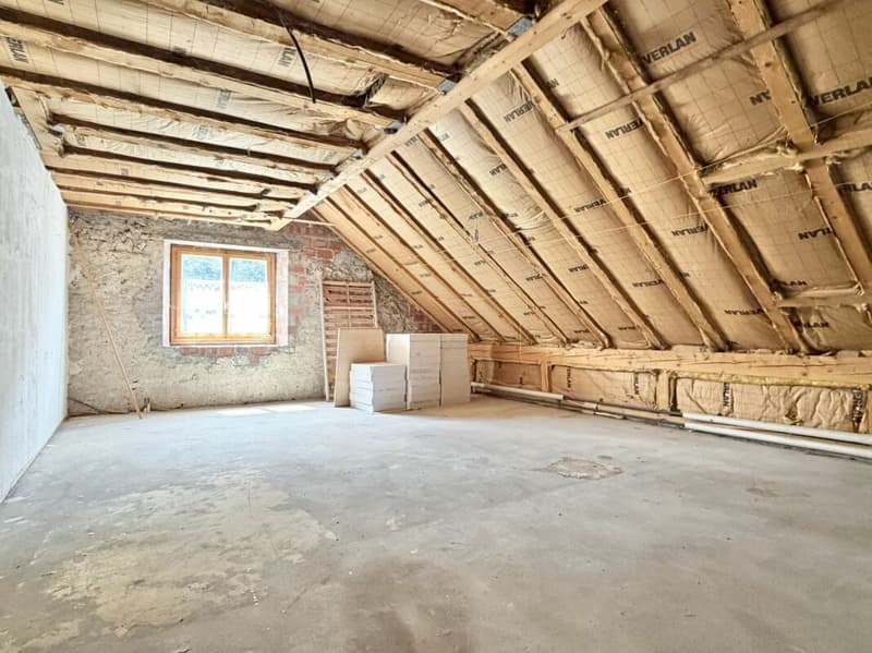 Bauernhaus Renovationsobjekt (21)