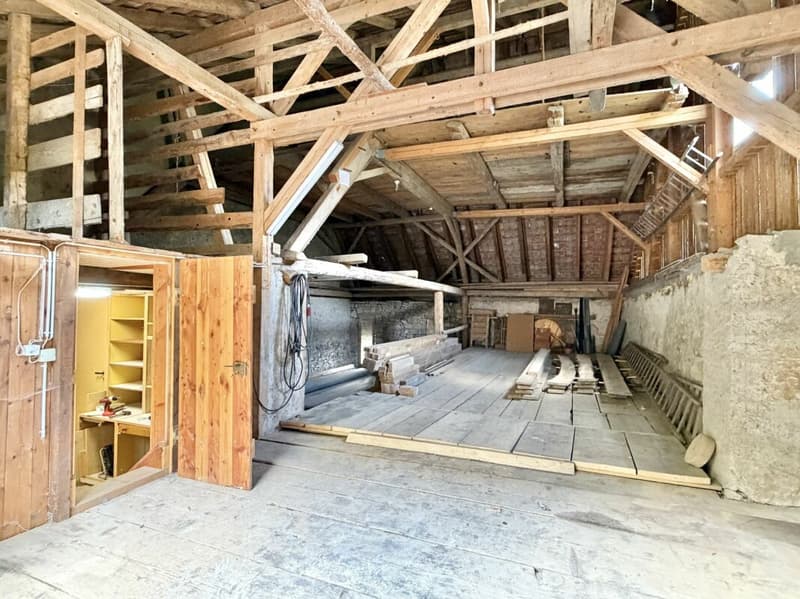 Bauernhaus Renovationsobjekt (14)