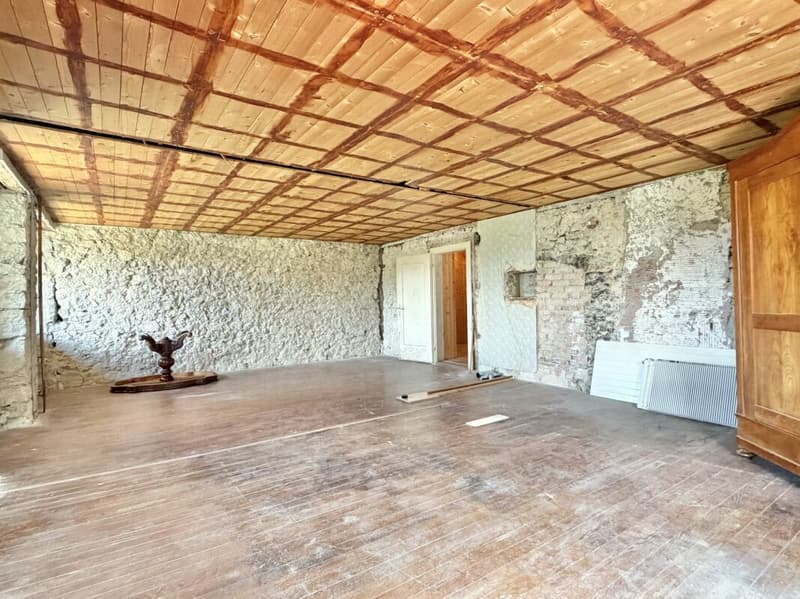 Bauernhaus Renovationsobjekt (12)