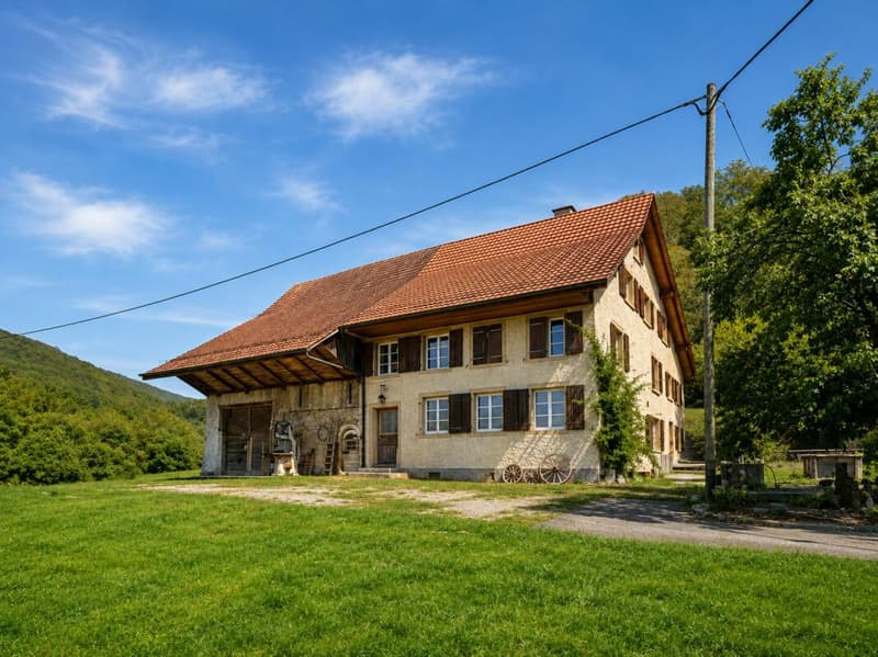 Bauernhaus Renovationsobjekt (1)
