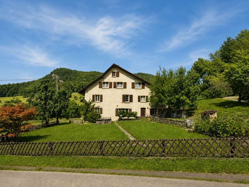 Bauernhaus Renovationsobjekt (2)