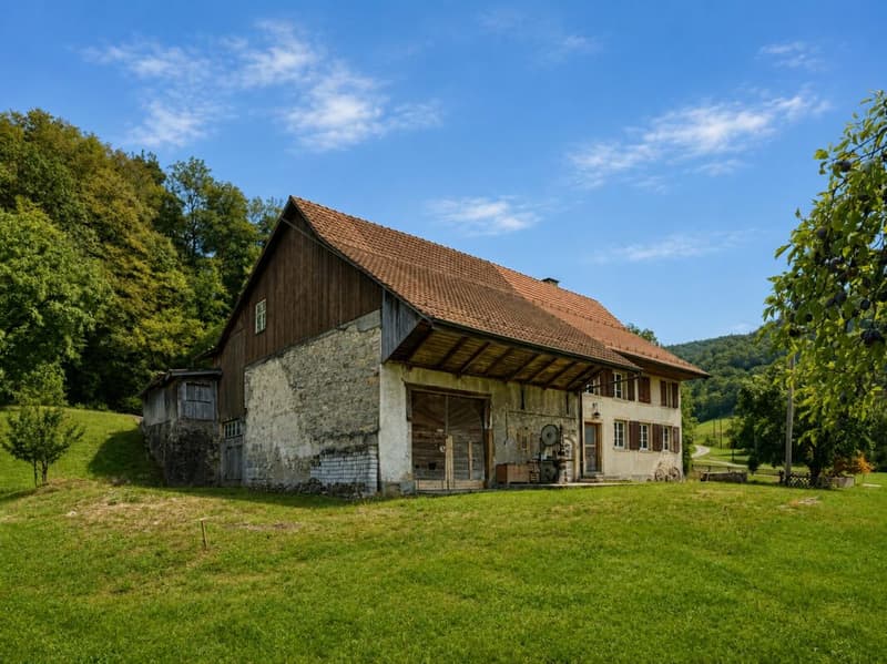 Bauernhaus Renovationsobjekt (4)