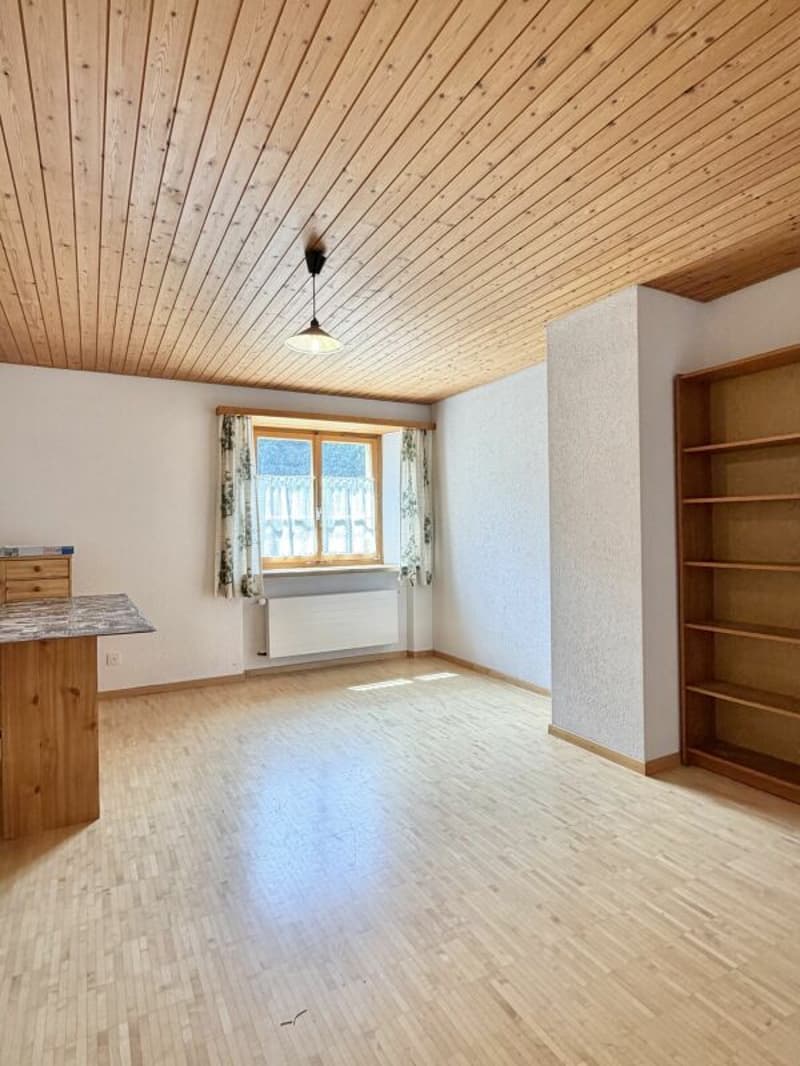 Bauernhaus Renovationsobjekt (19)